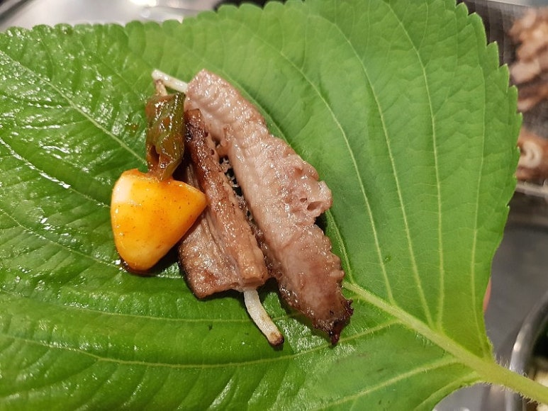 아우네쭈꾸미 이미지