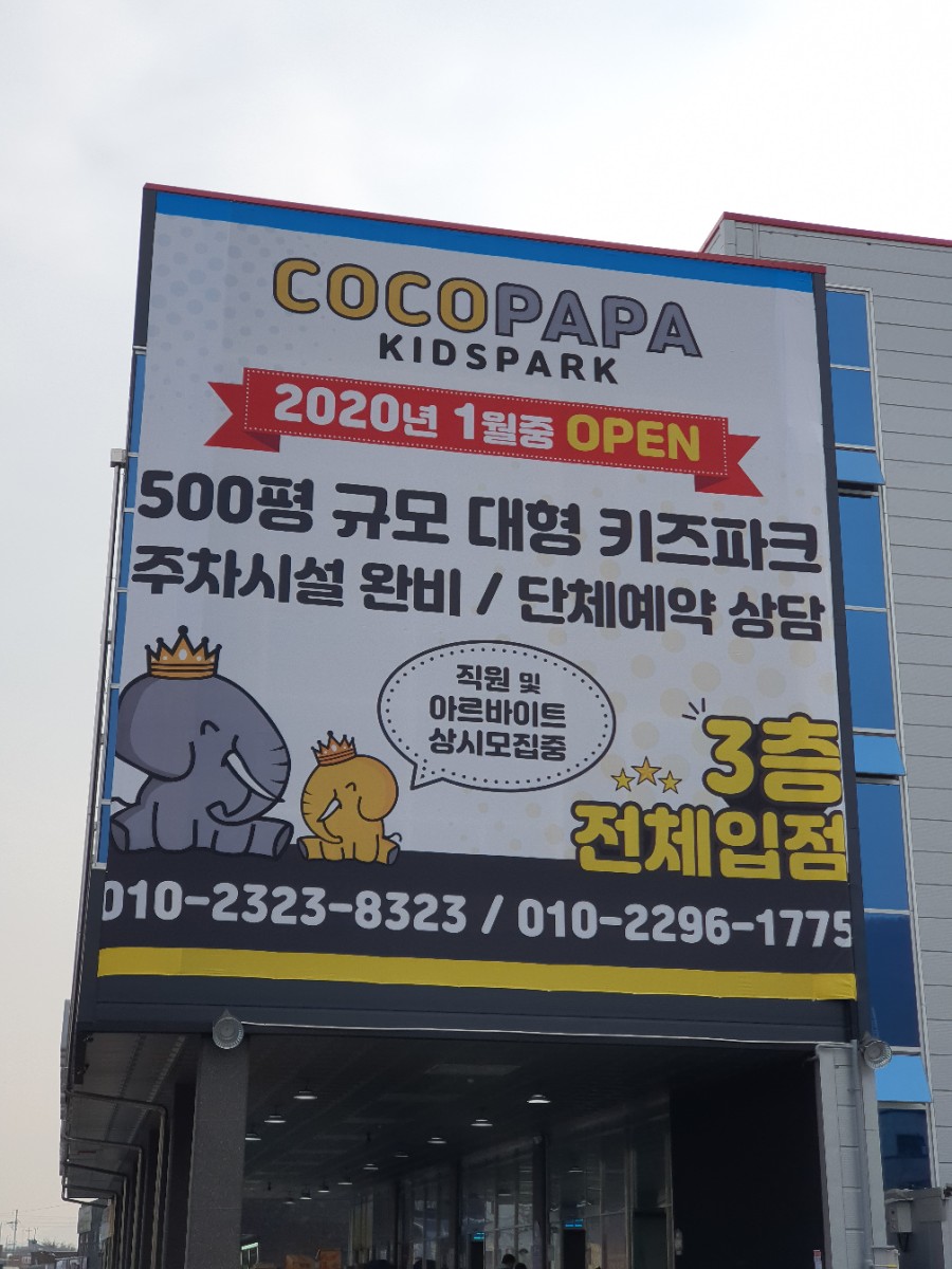 코코파파 이미지