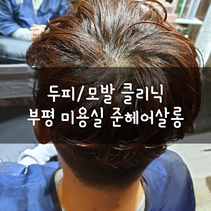 준헤어스토리 이미지