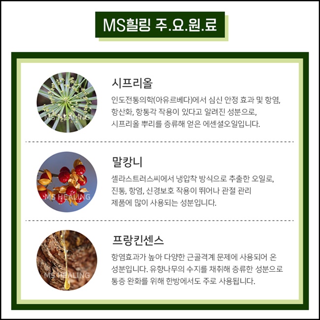 엠에스정보 이미지