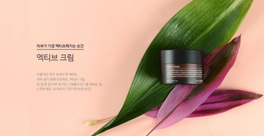 인셀덤서인 이미지