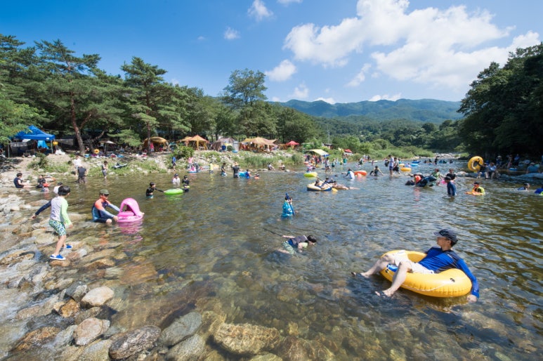구릉지관광농원 이미지