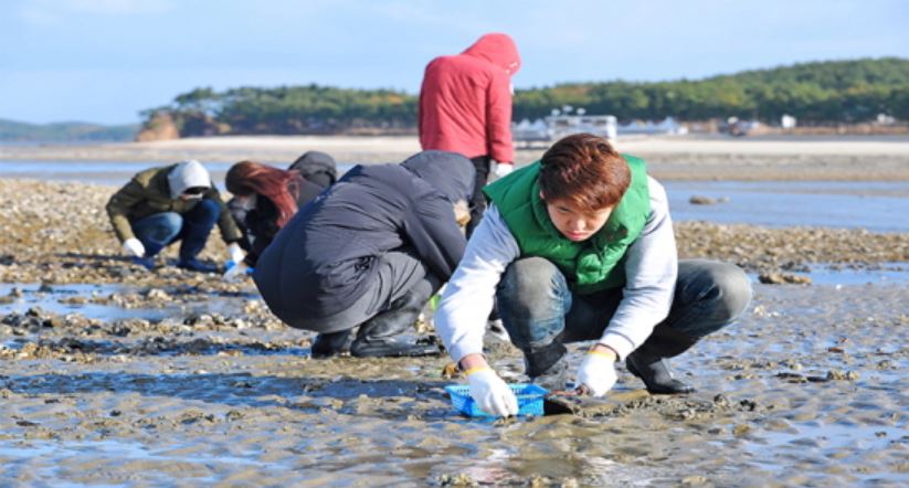 (주)어촌사람들 이미지
