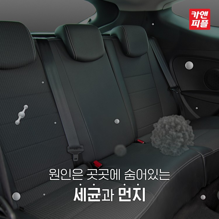 연수스팀세차 이미지