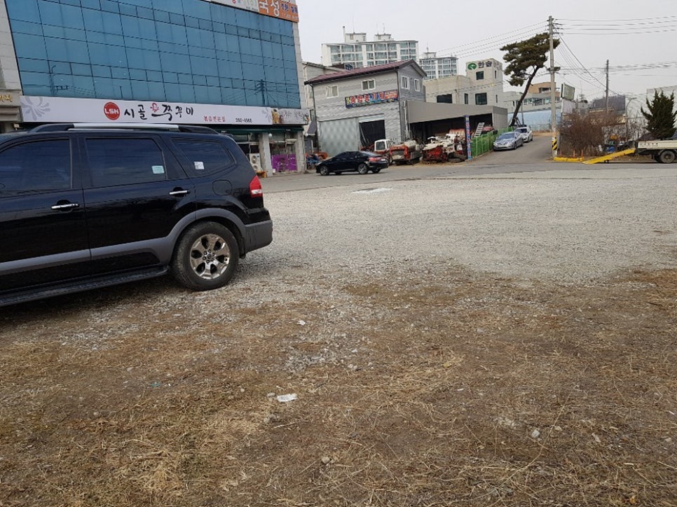 시골쭈꾸미 이미지