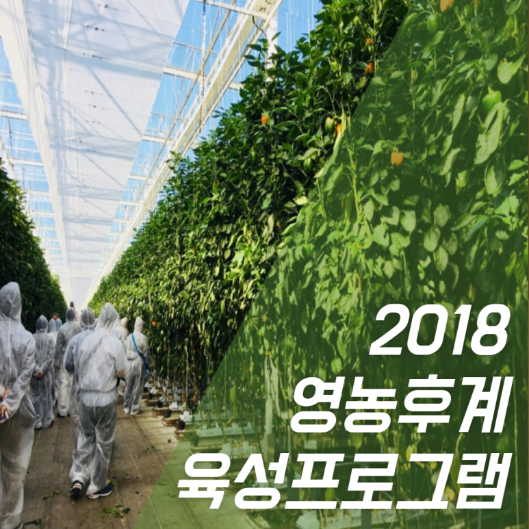 (주)지앤비여행사 이미지