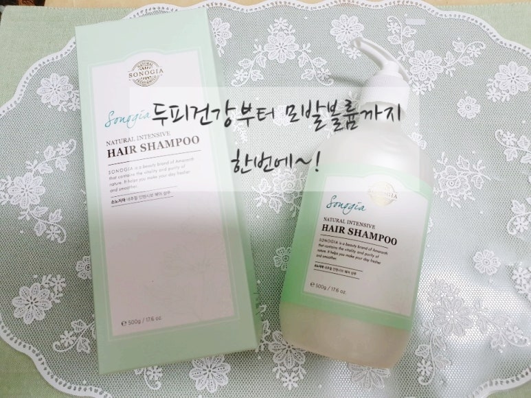 소노지아 이미지