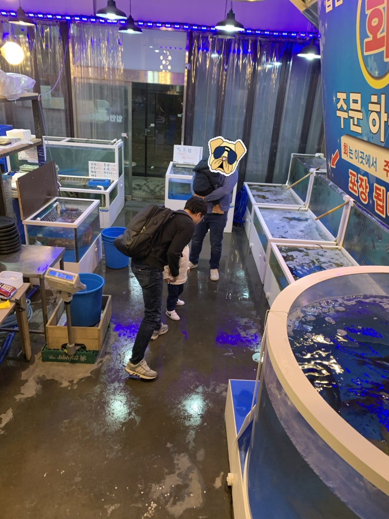 입안에바다 이미지