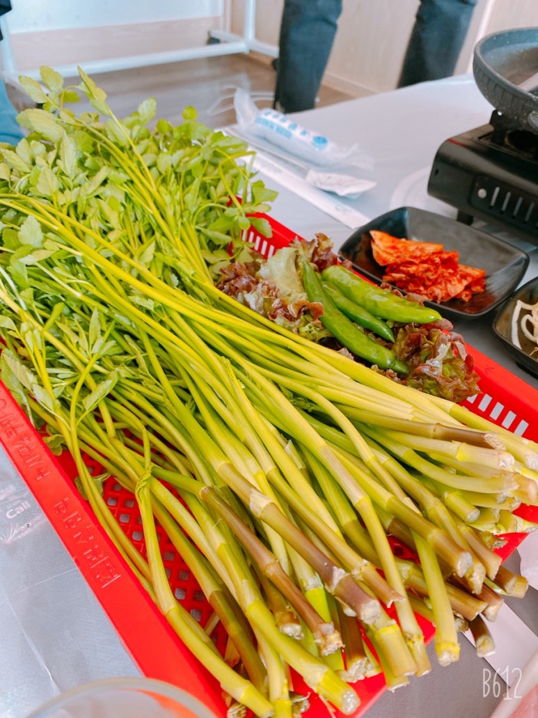 청산오리 이미지