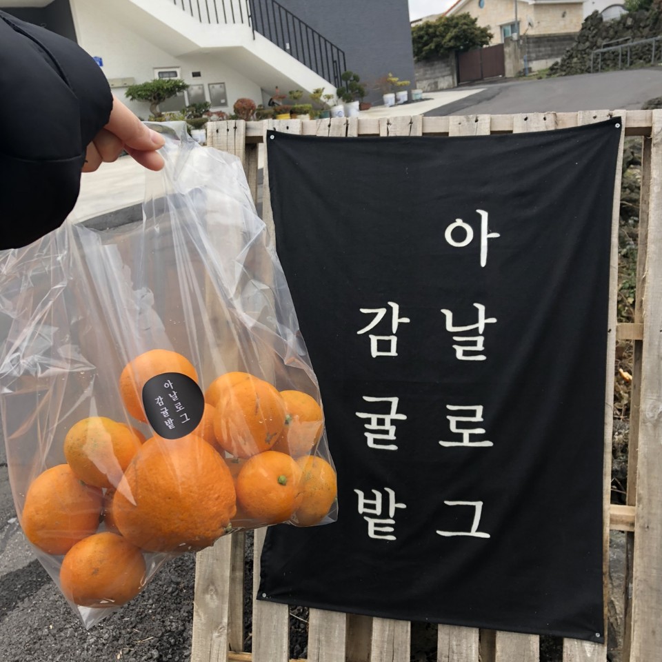 아날로그감귤밭 이미지