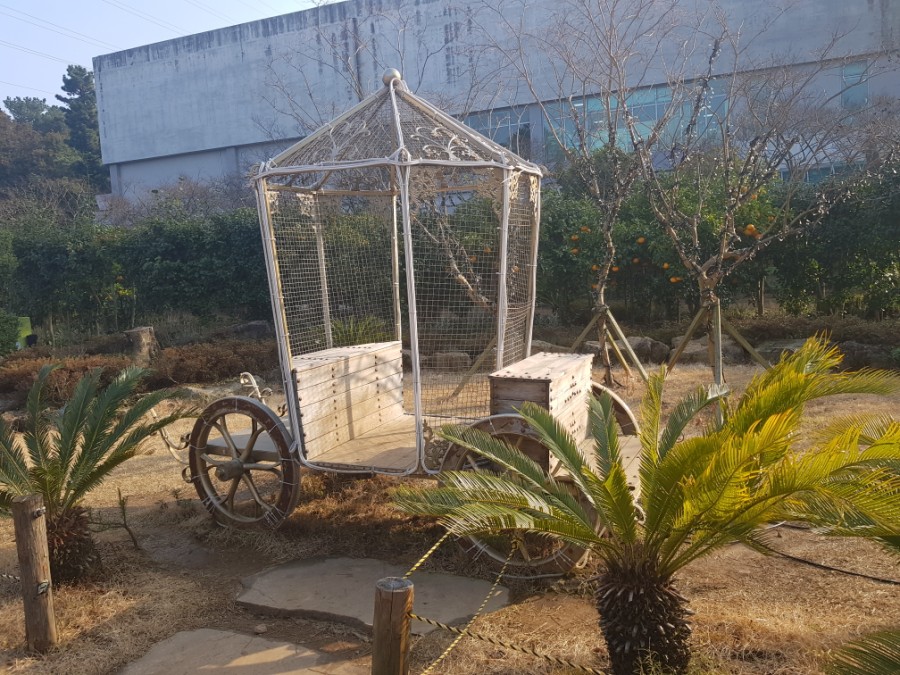 신호국수 이미지