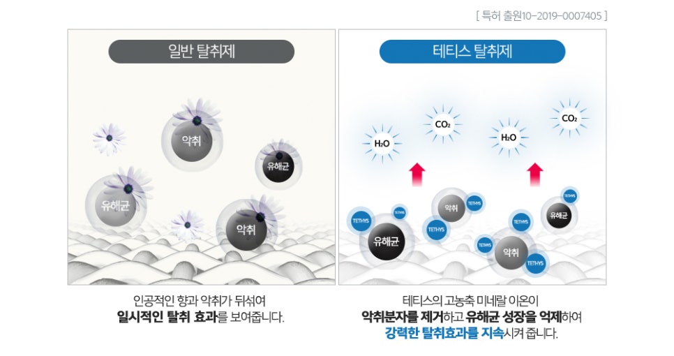 테티스 이미지