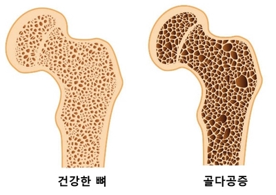 아지트짐 이미지