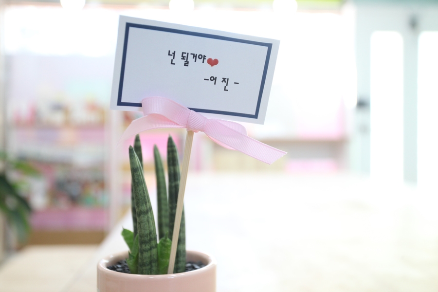 순천승평중학교 이미지
