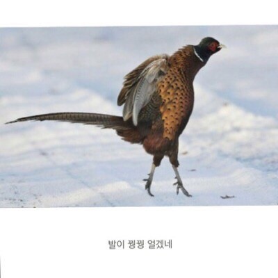 초이미용실 이미지