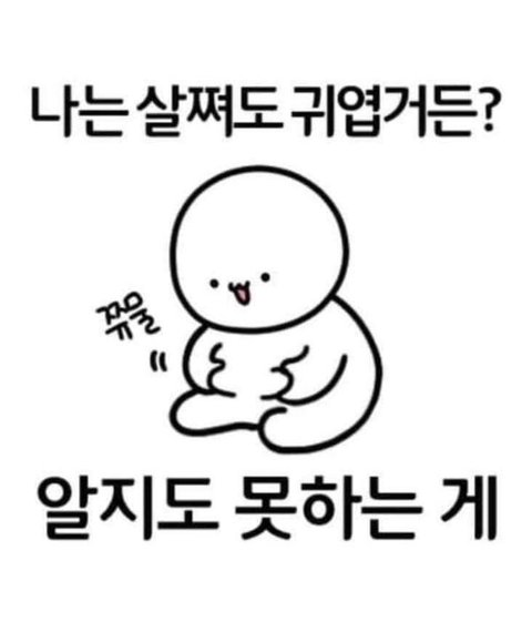 아이스크림판다 이미지