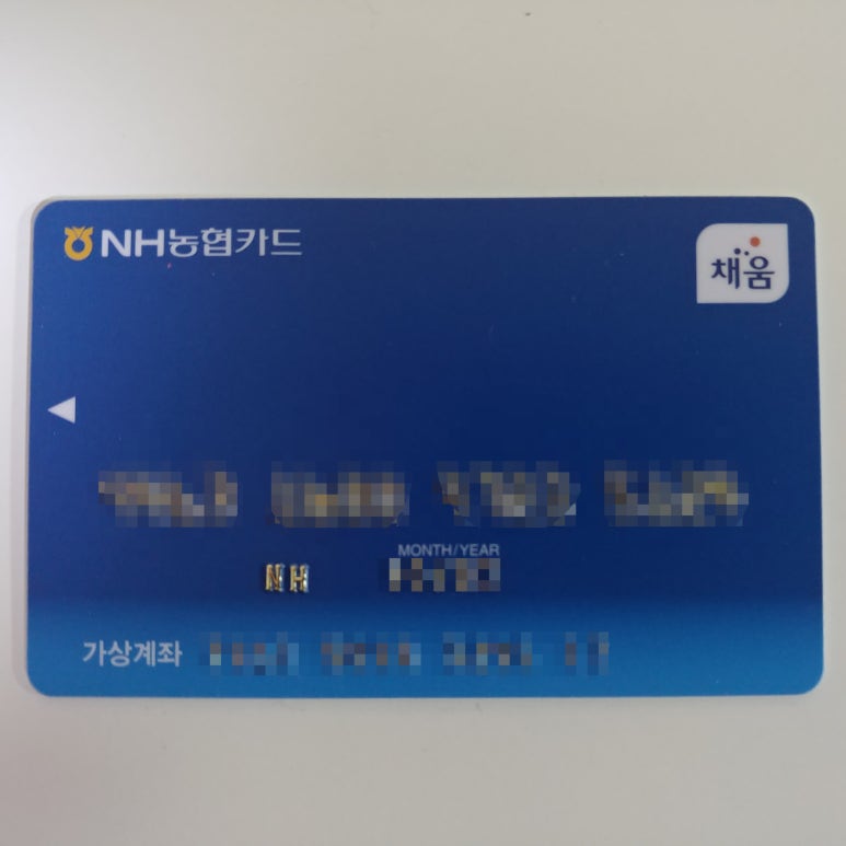 대명항공여행사 이미지