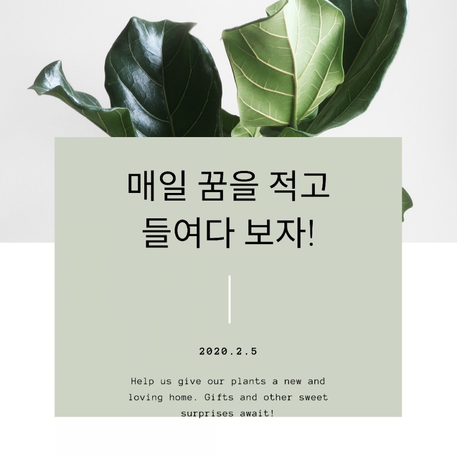 손드림 이미지
