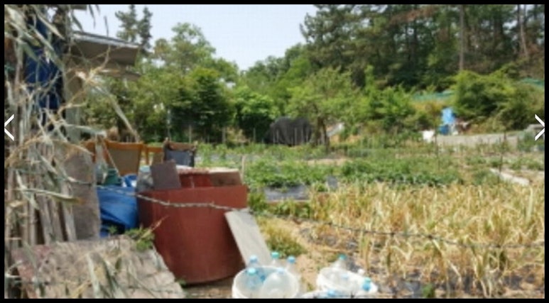 (주)해청식품 이미지