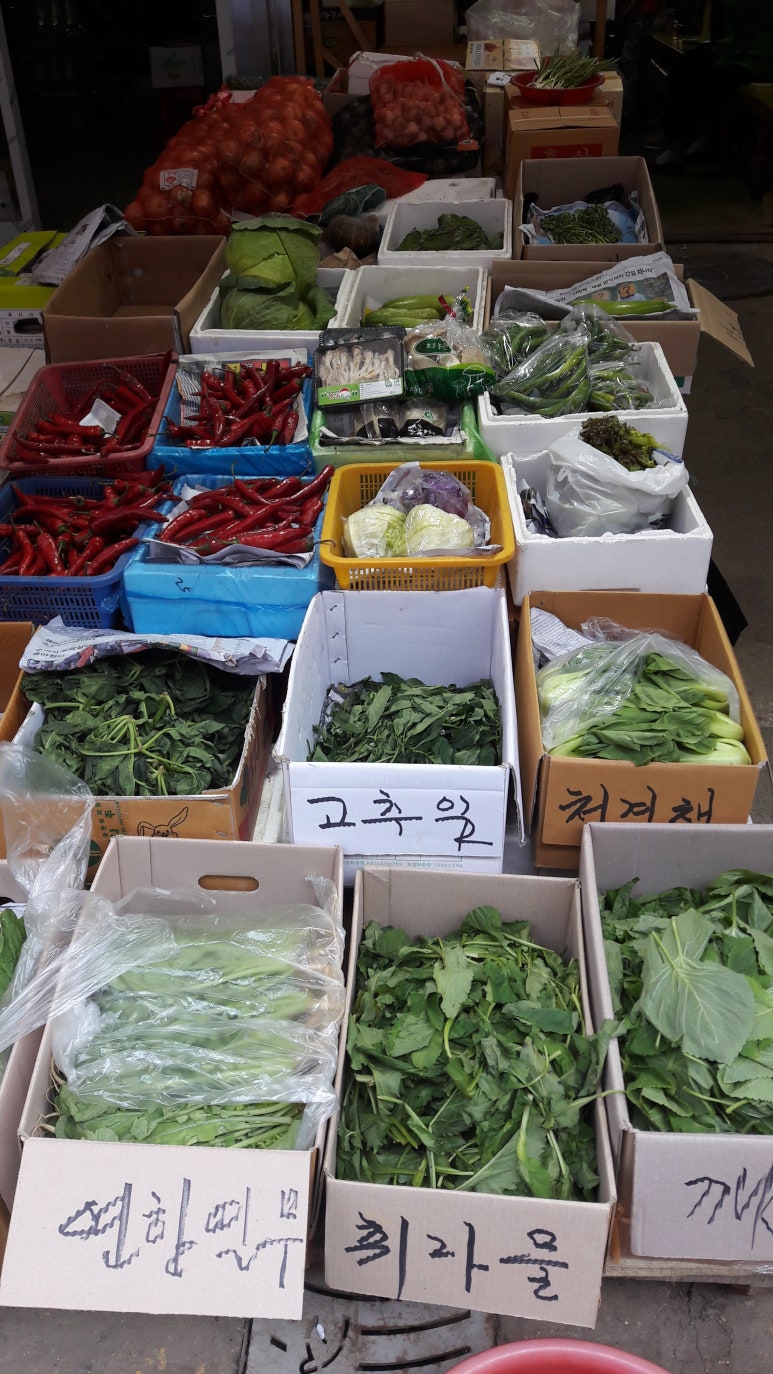 늘푸른야채 이미지
