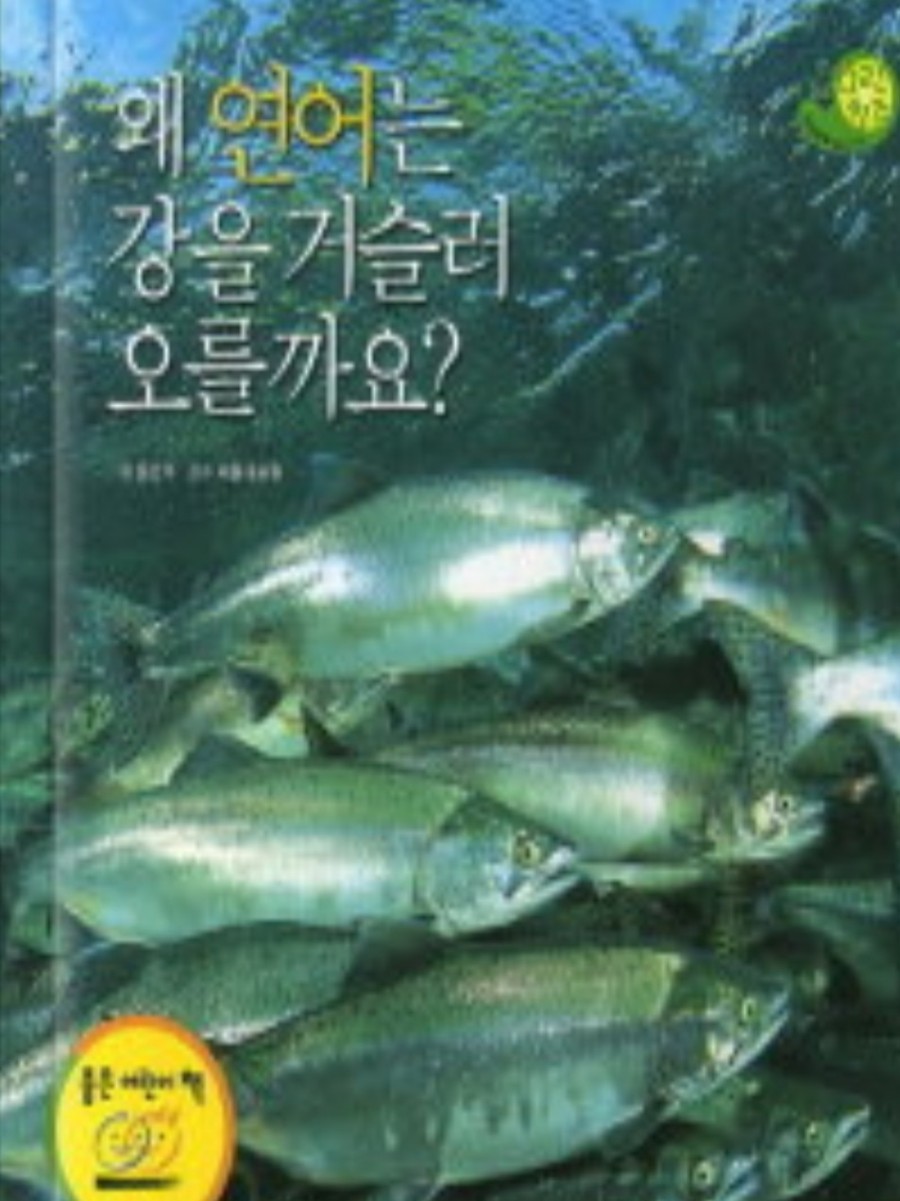 로파우사다 이미지