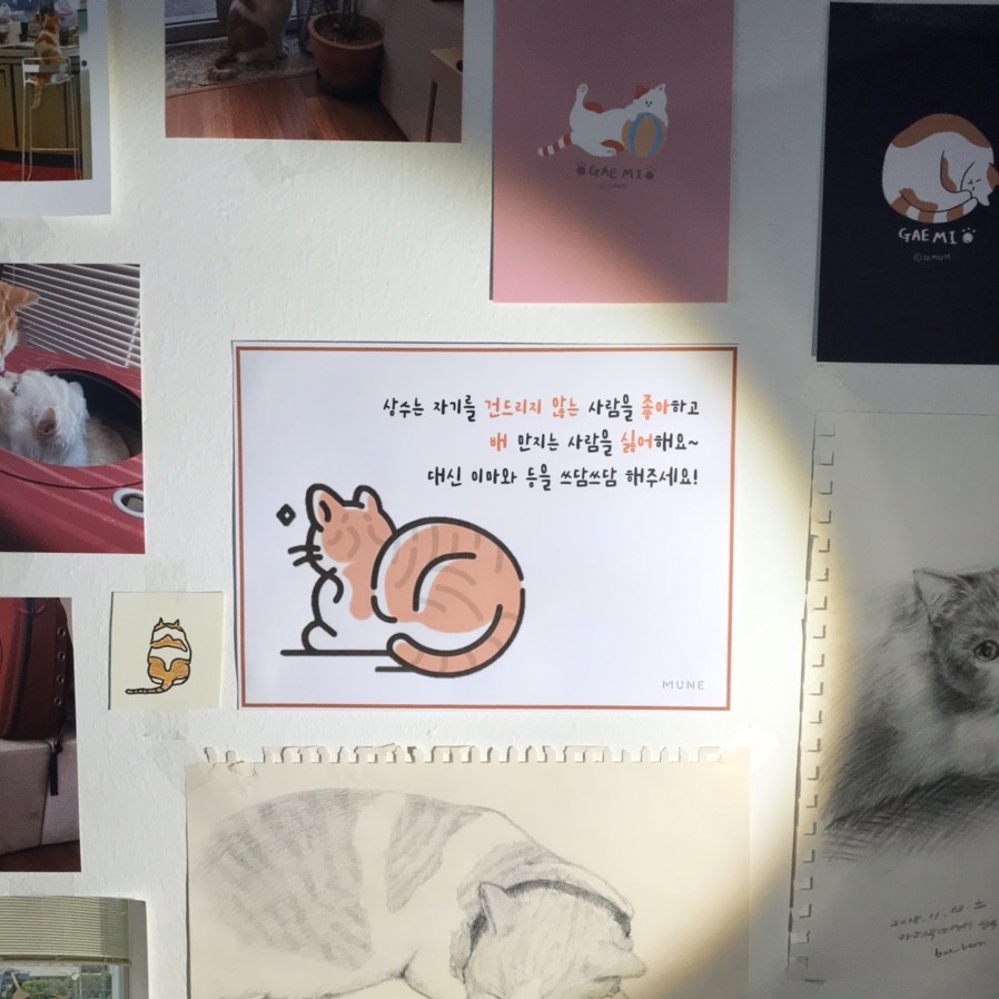 MUNE(무네) 이미지