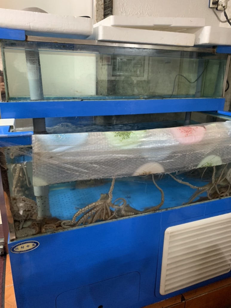 서문낙지 이미지