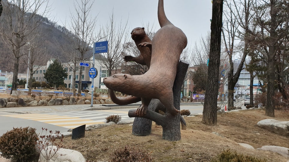 형수님 밥상 이미지
