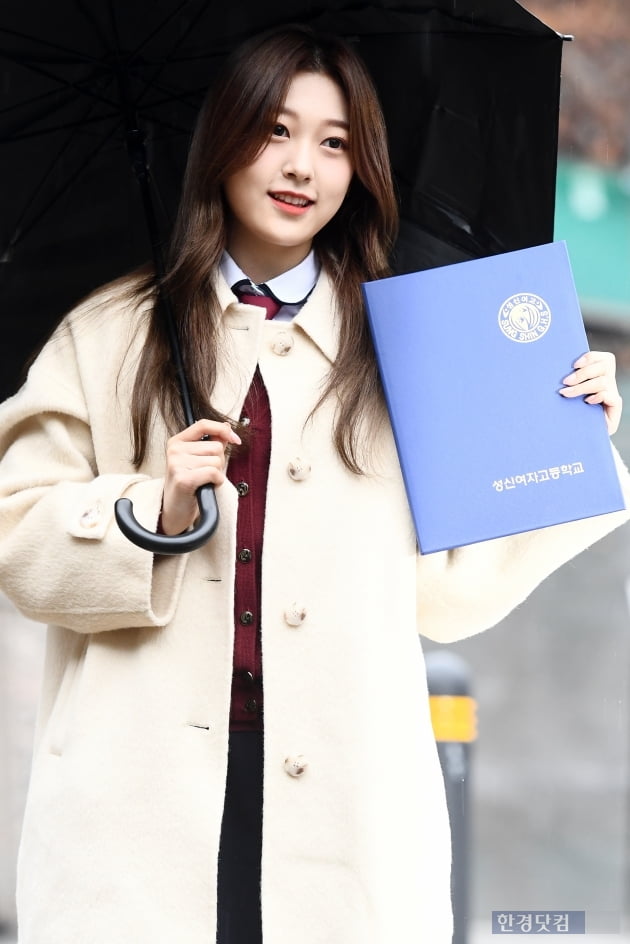 베르시헤어 이미지