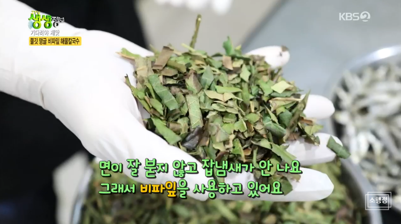 비파해물칼국수 이미지
