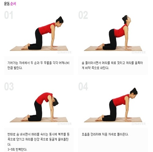 신진가스 이미지