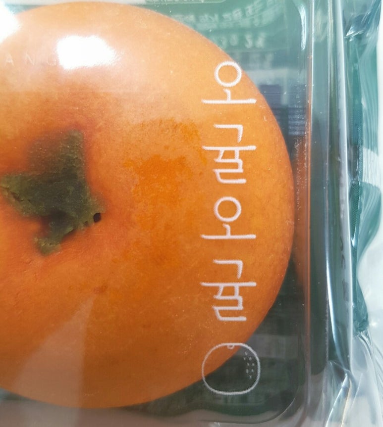 (주)화과방 이미지