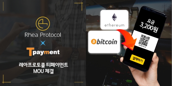 티페이먼트 이미지