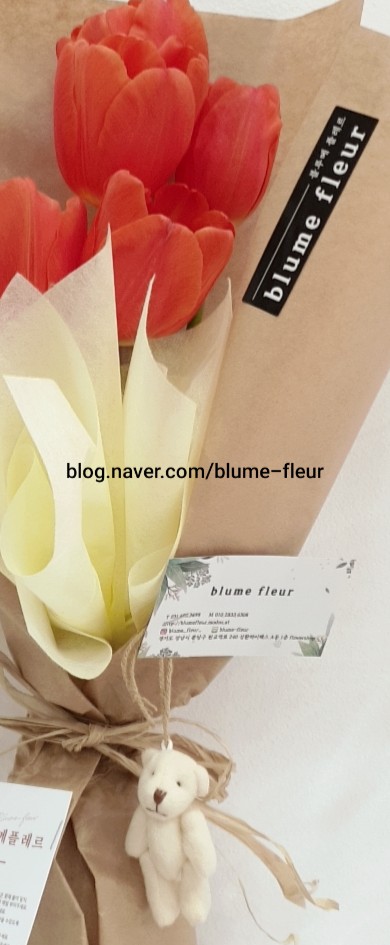 블루메플레르 이미지