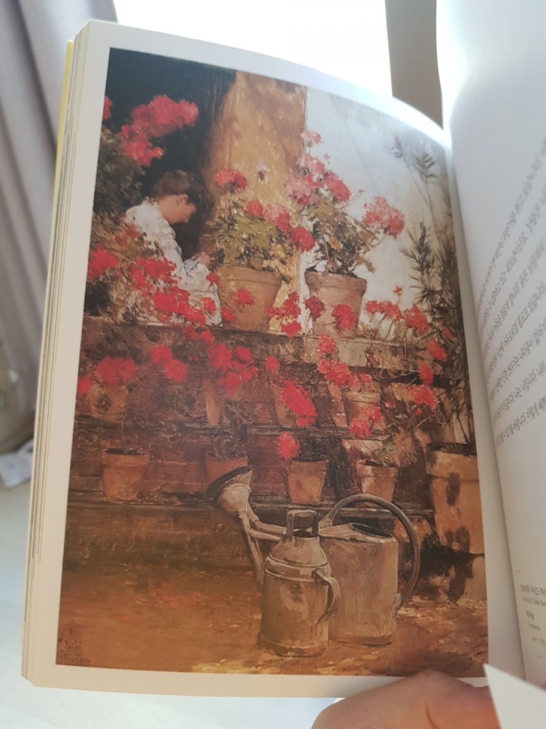 그림,결 이미지