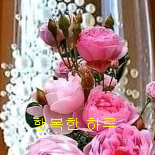 행복한 하루 이미지
