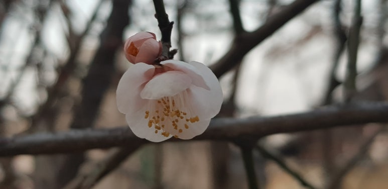 예찬상사 이미지
