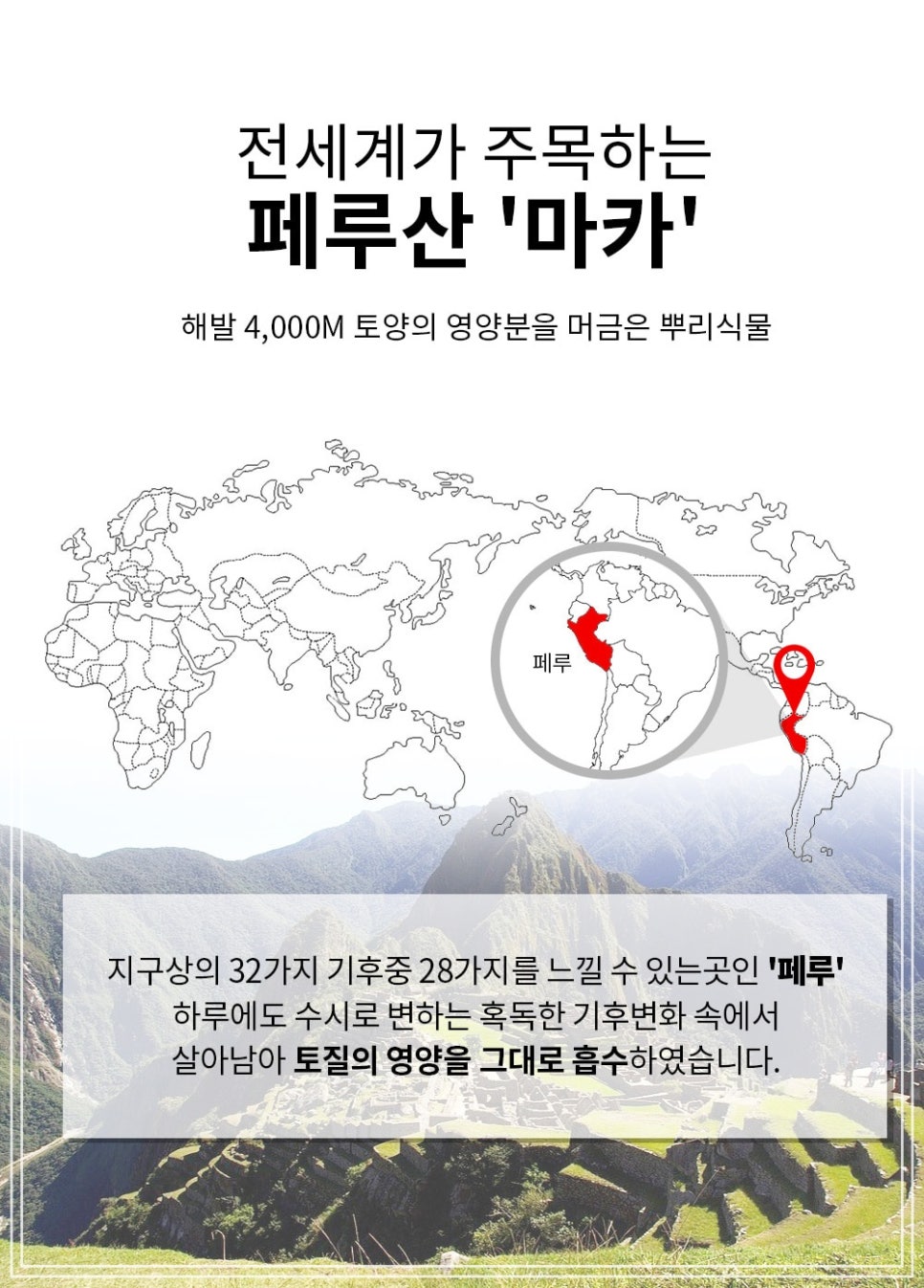 다운푸드 이미지