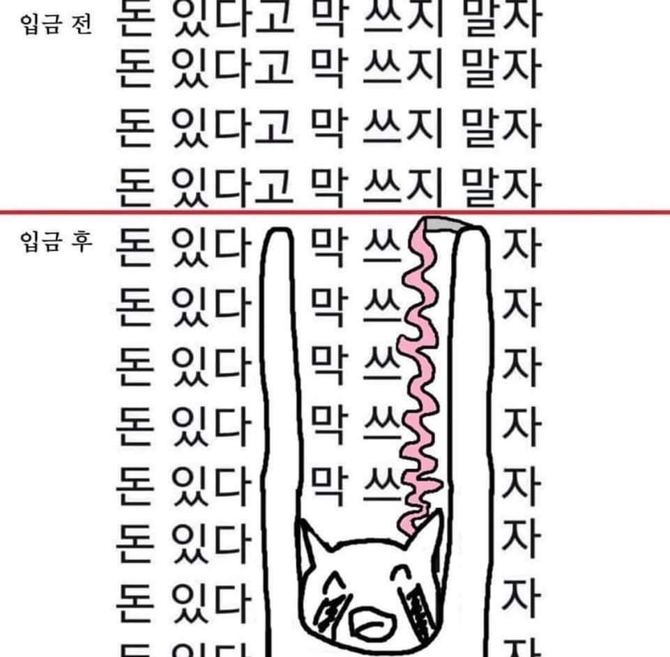 스테이큐브 이미지