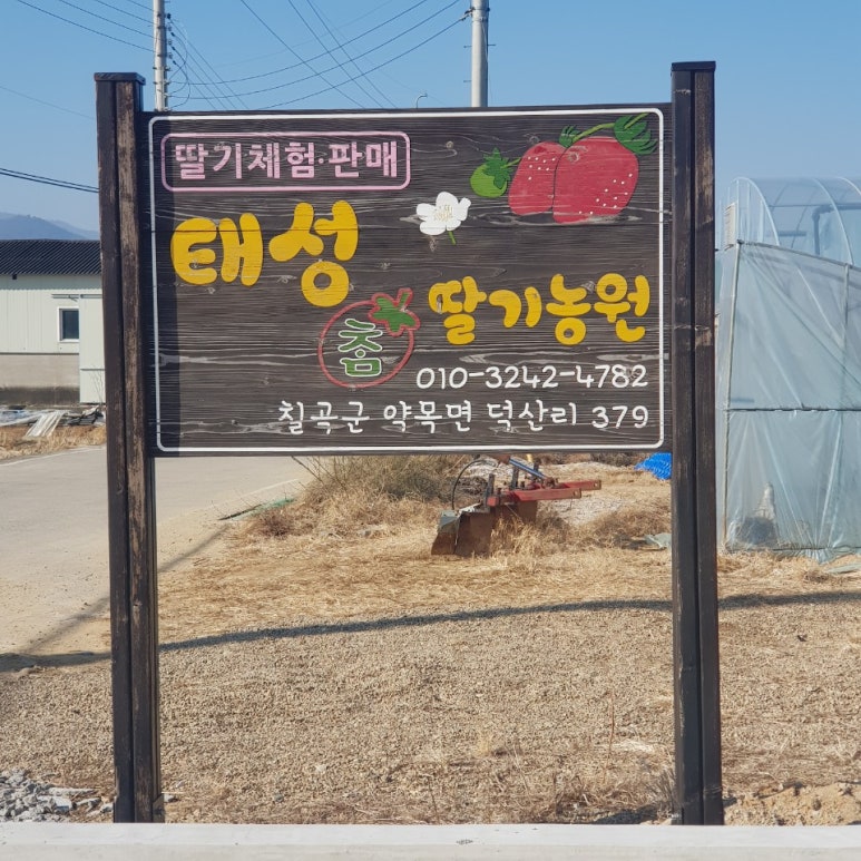 태성참딸기농원 이미지