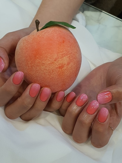 디탐 이미지