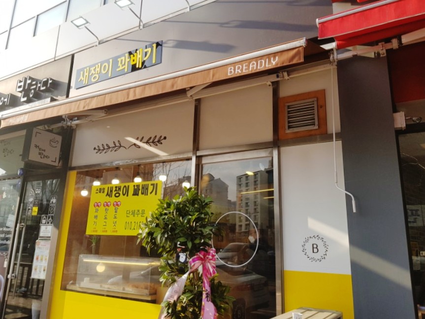새쟁이꽈배기 이미지