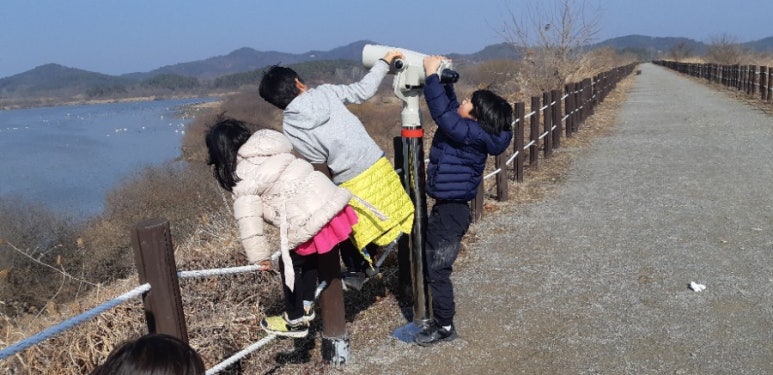 하와이유 이미지