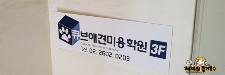 큐브애견미용학원 이미지