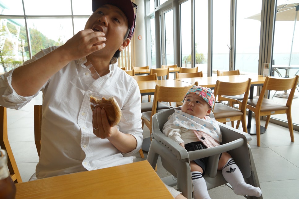 율이파파 이미지