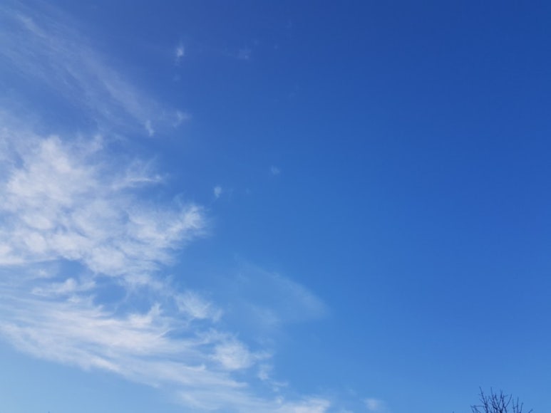 세교화원 이미지