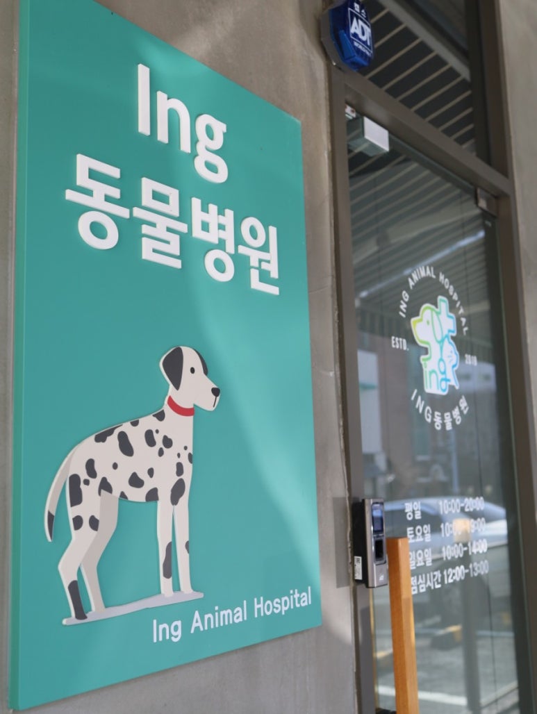 아이앤지(ing) 이미지