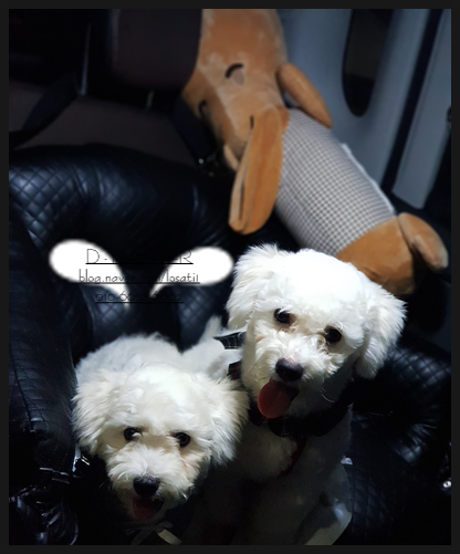 강남가판점 이미지