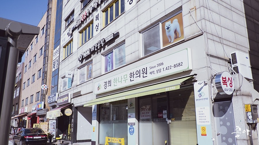 잠실 애견유치원 MM애견공방, 강아지 사회성 증진 후기 — 사진 2
