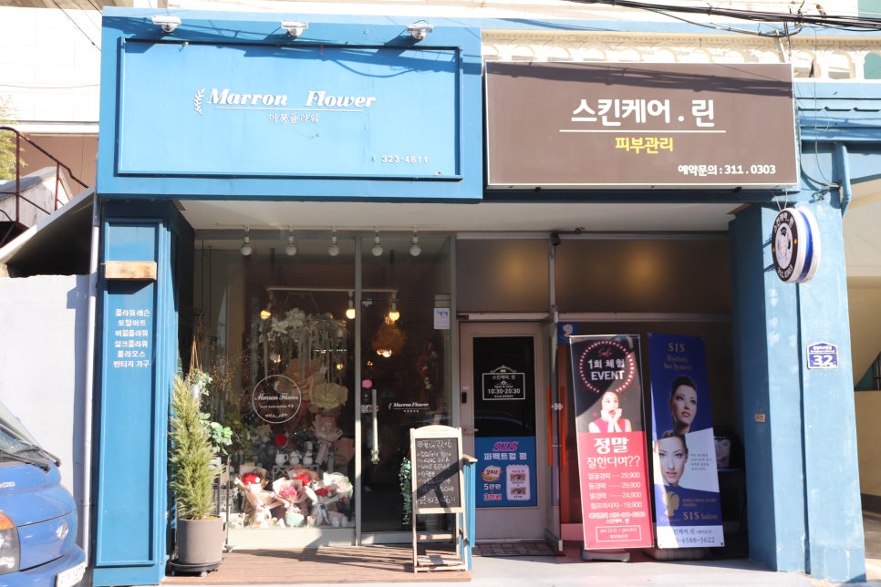 마롱플라워 이미지